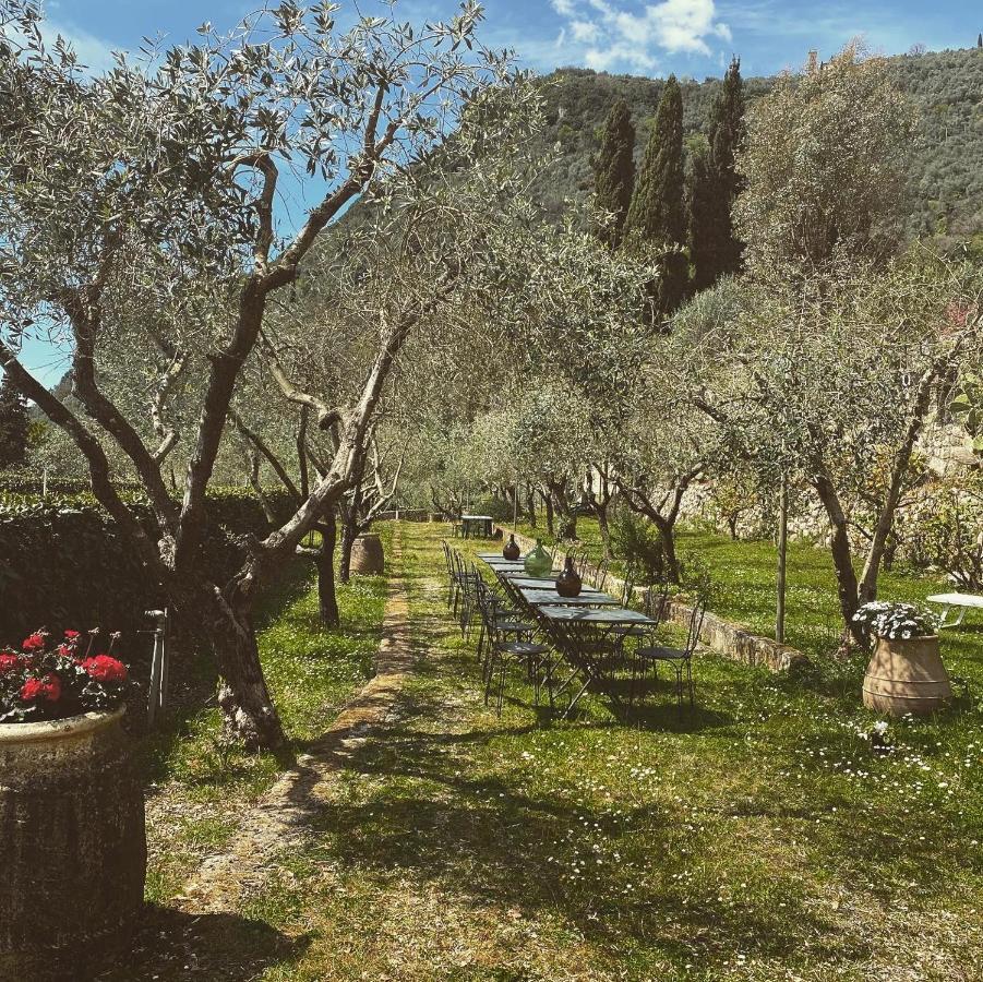 Sotto Il Cielo Di Toscana Appartamenti In Tenuta Only Adults No Pet Camaiore Luaran gambar