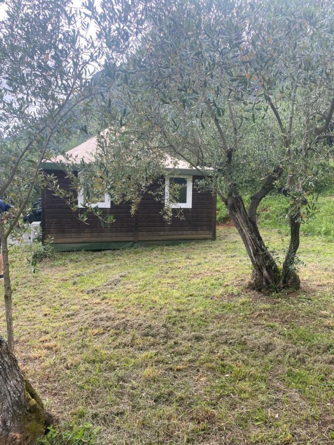 Sotto Il Cielo Di Toscana Appartamenti In Tenuta Only Adults No Pet Camaiore Luaran gambar