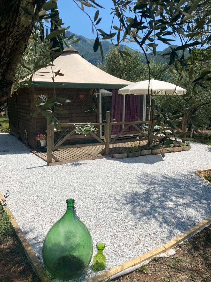 Sotto Il Cielo Di Toscana Appartamenti In Tenuta Only Adults No Pet Camaiore Luaran gambar