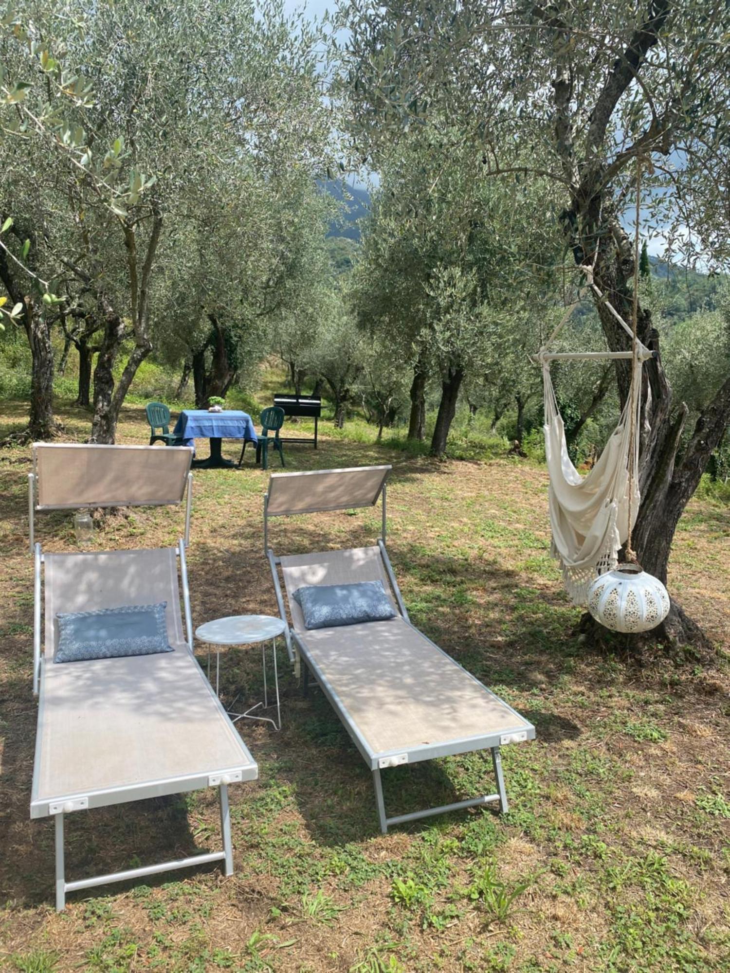 Sotto Il Cielo Di Toscana Appartamenti In Tenuta Only Adults No Pet Camaiore Luaran gambar