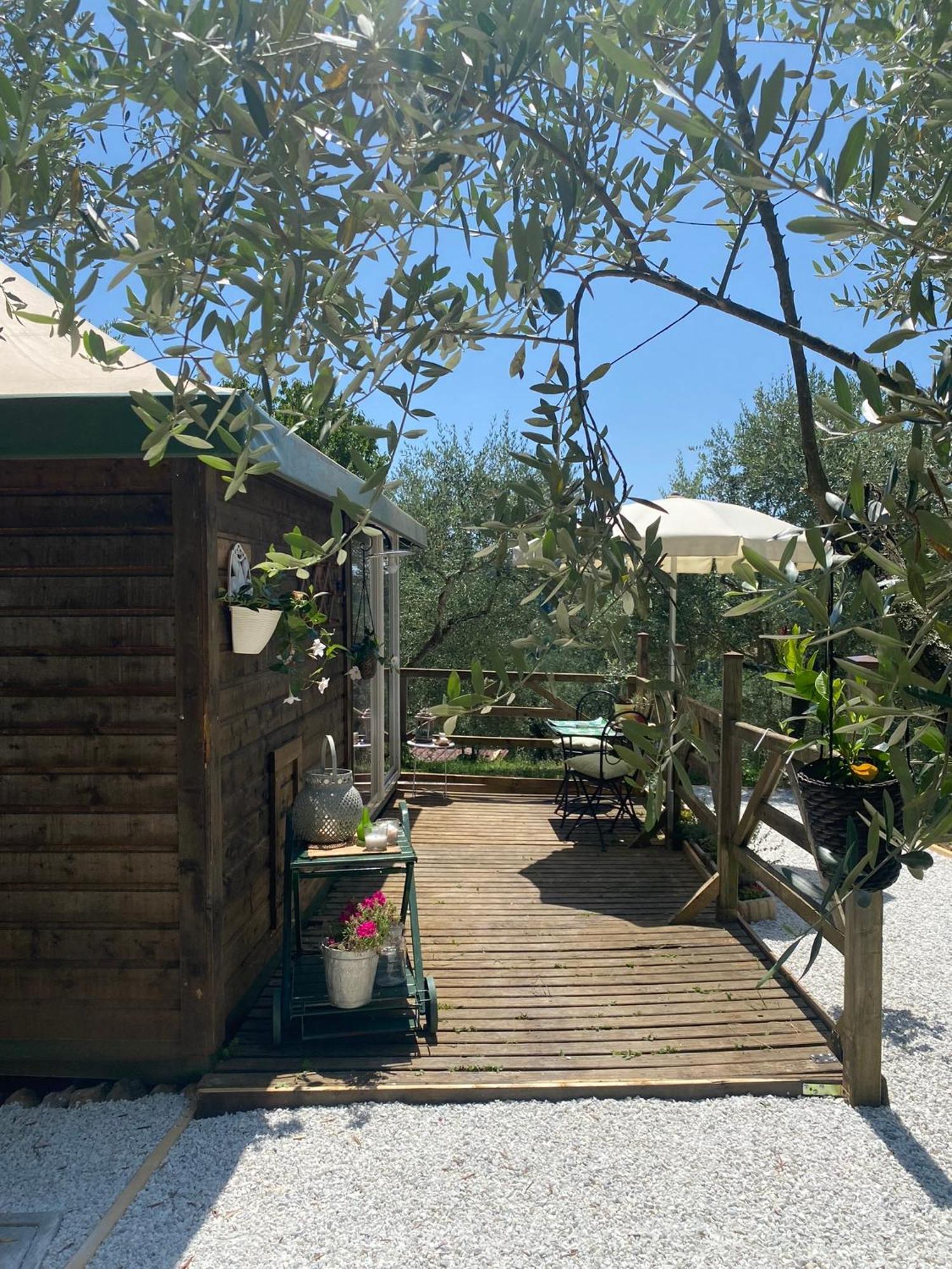 Sotto Il Cielo Di Toscana Appartamenti In Tenuta Only Adults No Pet Camaiore Luaran gambar